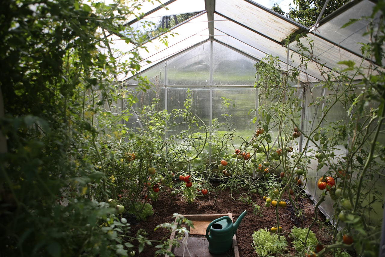 Organic farm landscape